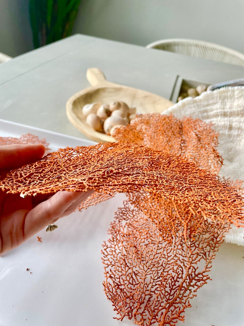 May include: Close-up of intricate, orange-colored coral-like structures. The delicate, branching patterns are displayed against a white surface. A wooden scoop with small, round objects and a white cloth are in the background.