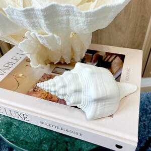 K&ouml;nnte beinhalten: Eine wei&szlig;e Muschelschale liegt auf einem Buch mit dem Titel "Livable Luxe" von Brigitte Romanek. Im Hintergrund befindet sich ein gro&szlig;es, strukturiertes, wei&szlig;es, korallenartiges Dekorationselement. Das Buch liegt auf einem gr&uuml;nen Tisch mit Marmorplatte, mit einem blauen Teppich.
