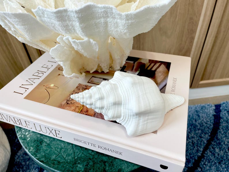 K&ouml;nnte beinhalten: Eine wei&szlig;e Muschelschale liegt auf einem Buch mit dem Titel "Livable Luxe" von Brigitte Romanek. Im Hintergrund befindet sich ein gro&szlig;es, strukturiertes, wei&szlig;es, korallenartiges Dekorationselement. Das Buch liegt auf einem gr&uuml;nen Tisch mit Marmorplatte, mit einem blauen Teppich.