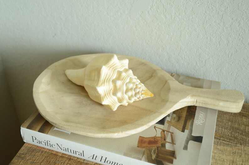 Puede incluir: Una gran concha de mar de color crema con forma de espiral se encuentra sobre una bandeja de servir de madera. La bandeja est&aacute; encima de un libro con el texto "Pacific Natural At Home" visible.