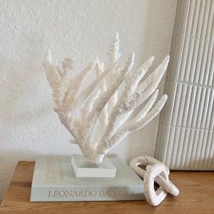 Real Branch Coral Fossil Specimen: 15.25" x 12" x 7.25" Coastal Décor (Lucite Mount)