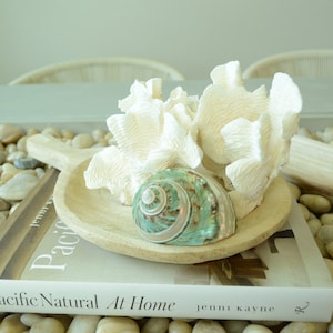 May include: A wooden tray with a white coral and a green seashell on top of a book titled "Pacific Natural At Home" by Jenni Kayne. The tray is sitting on a bed of white and brown stones.