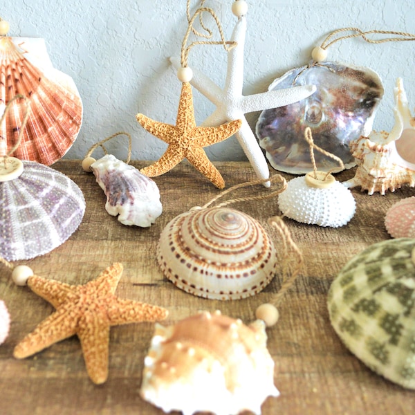 Seashell Starfish Sea Urchin Barnacles Hanging Ornaments Beach Coastal Christmas Tree Party Wedding favors