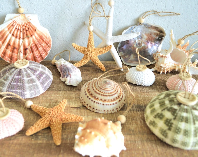 Seashell Ornaments *You choose Type and Quantity* Starfish Sea Shell Urchins Beach Coastal Party