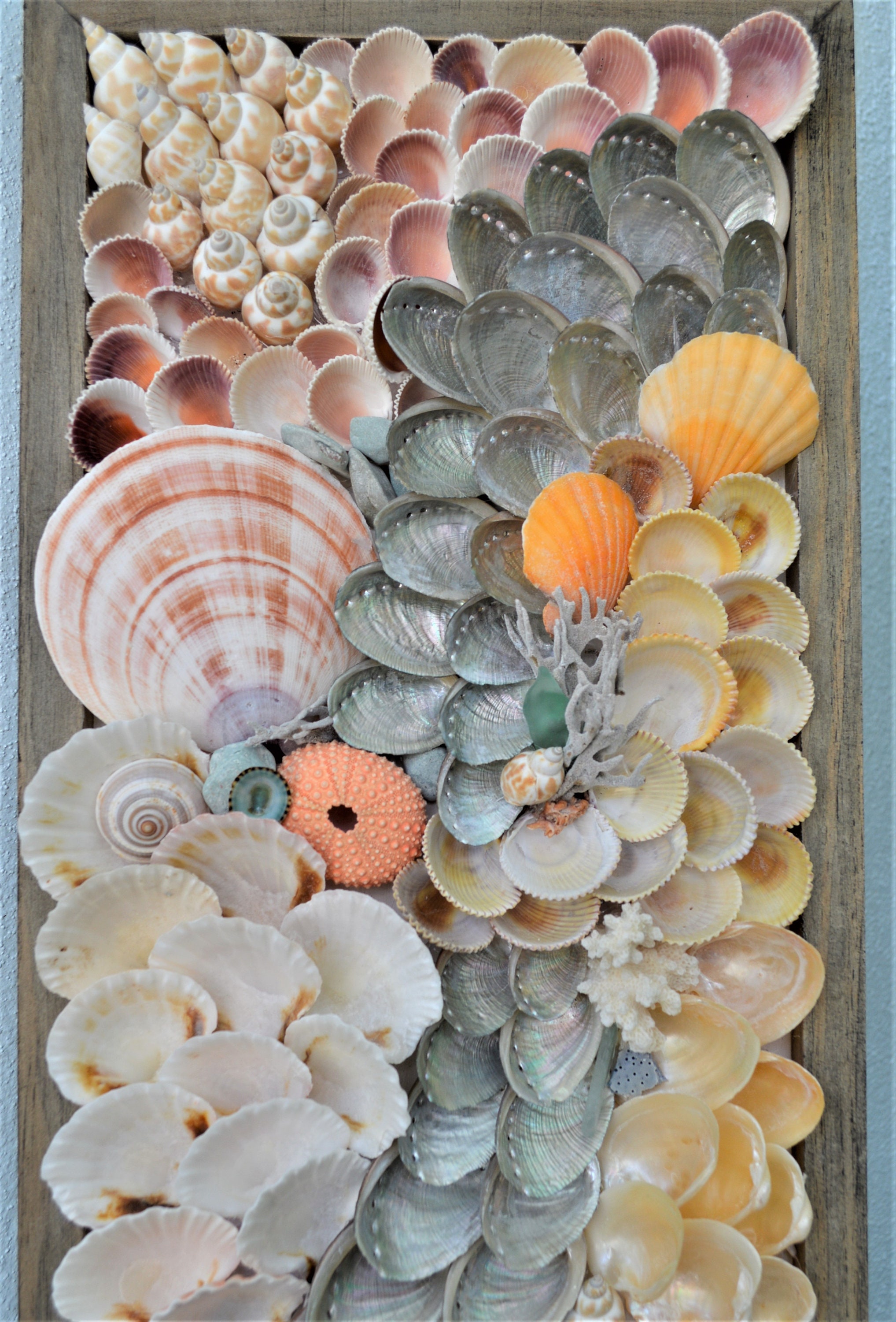 Handmade Modern Coastal Wall Art Sea Shells & Wood Panel Etsy