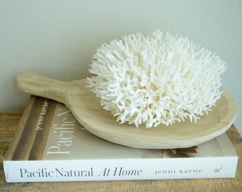 BIRDSNEST Coral White *All Sizes* Authentic Natural Real Sea Fossil Coastal Décor