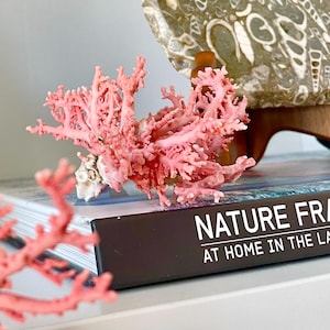 May include: A branch of pink coral with a textured, porous surface rests on a black book titled NATURE FRAMED AT HOME IN THE LANDSCAPE. A second, out-of-focus pink coral branch is in the foreground, and a fossilized stone slab is visible behind.