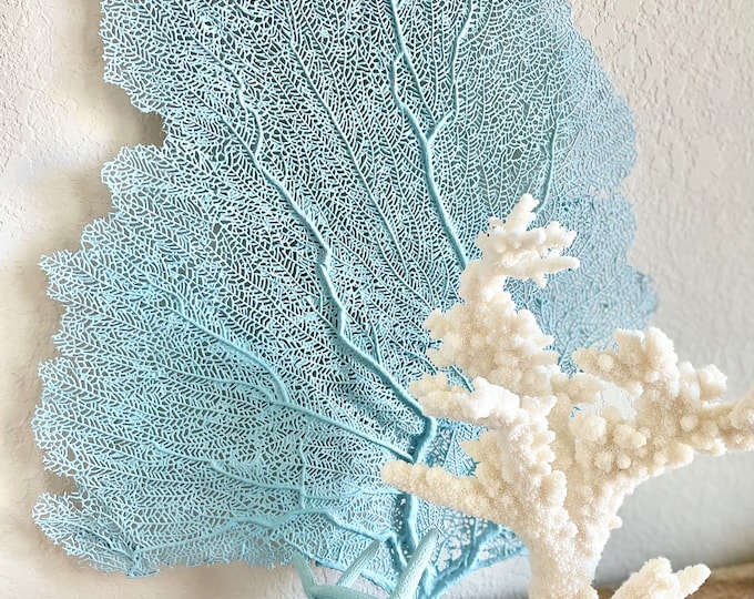 Light Blue Sea Fan 10-16" *You Choose Size* Natural Hand Painted Coastal Décor