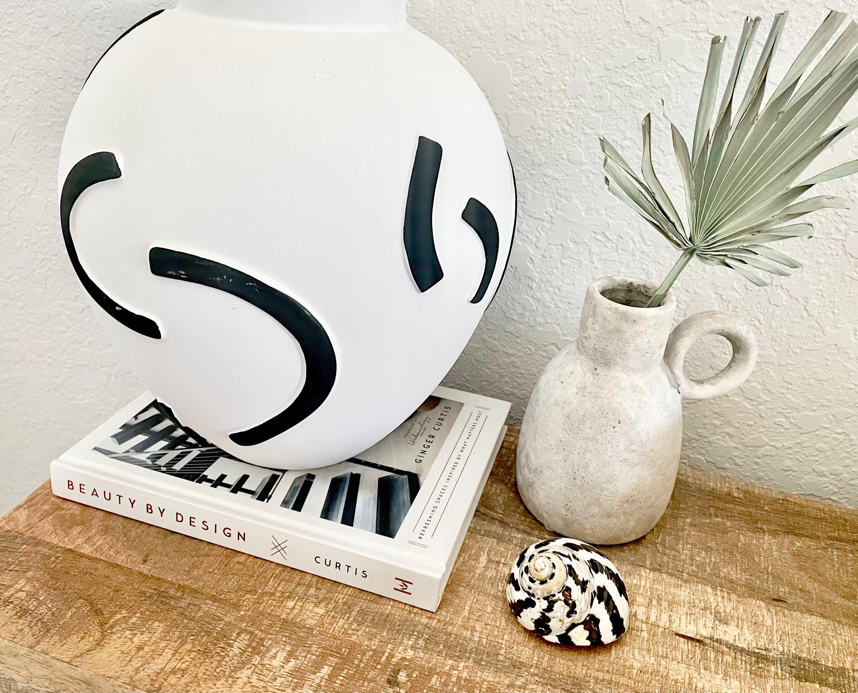 Magpie Shells MAGPIE TURBO SHELLS *you Choose Size* Naturally Polished Black White ...