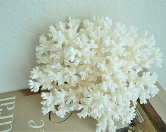 100% Natural Genuine Sea White LACE CORAL 4-8" Ocean Reef Aquarium Coastal Beach Ocean Décor Nautical