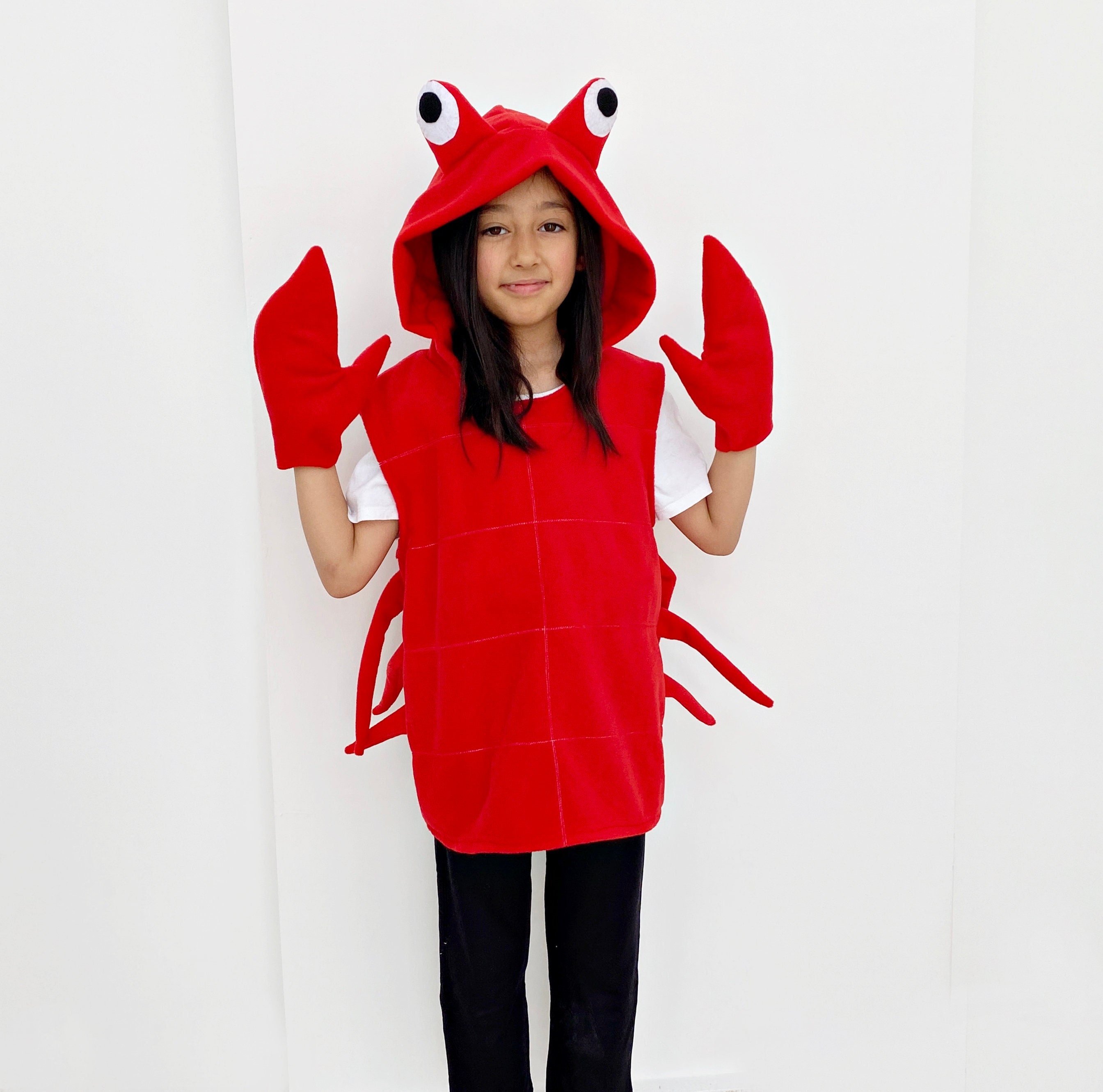 Disfraz de cangrejo rojo para niños, traje de Halloween de langosta,  conjunto de cangrejo y garra, disfraz de animal marino, cangrejo de río con  capucha para niños pequeños, chaleco de lana y