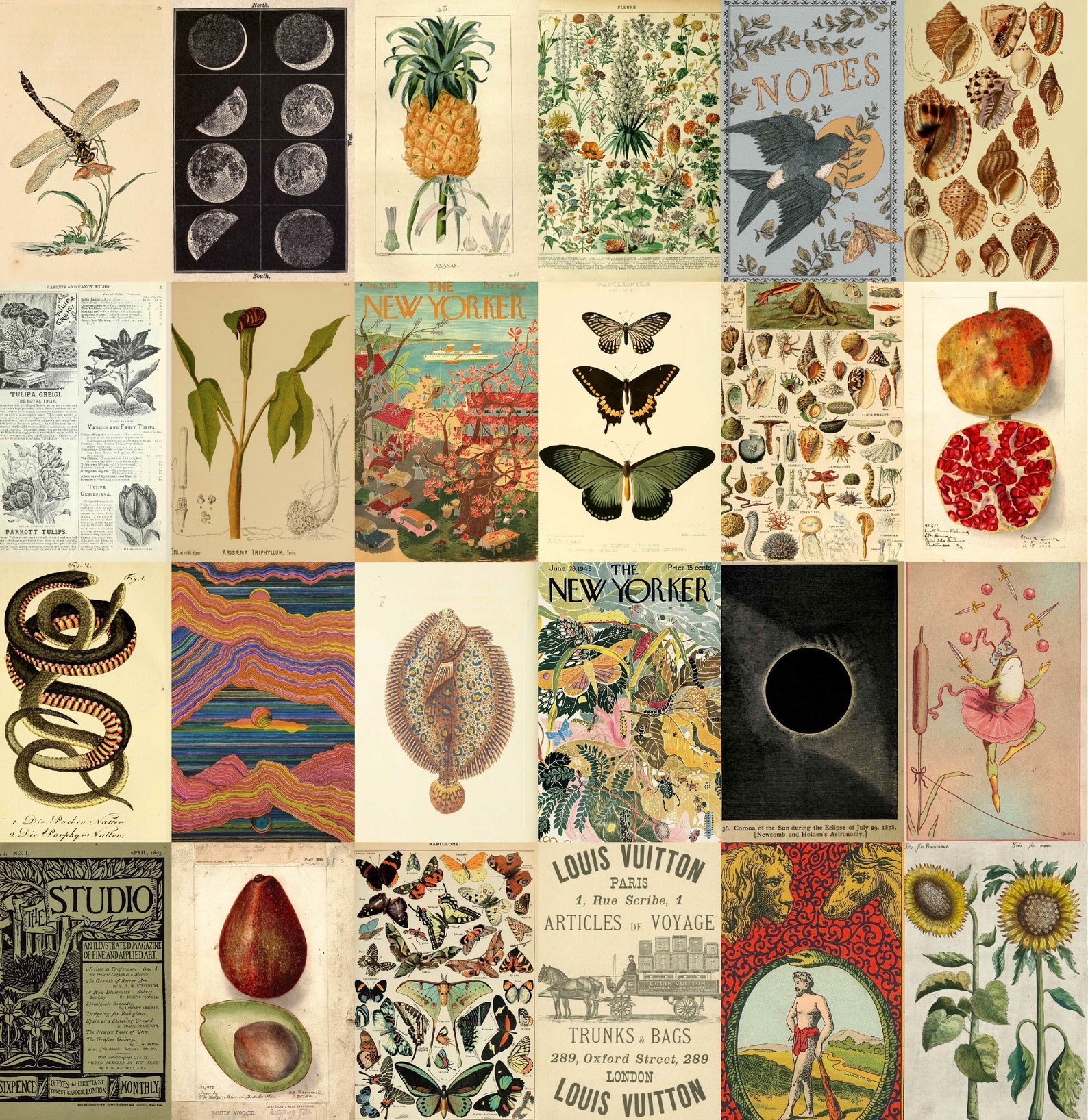 Aesthetic Vintage Poster Wall Collage Kit Old Poster Style Etsy