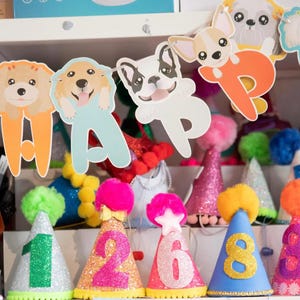 Birthday Party Hat for dogs