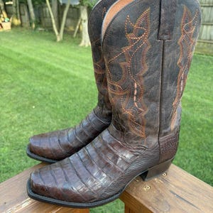 Stivali western da uomo Dan Post in pelle di caimano con punta affusolata, colore marrone, taglia 11.