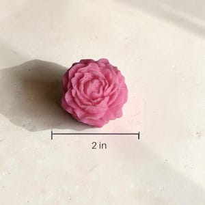 Pu&ograve; includere: Un oggetto a forma di rosa di colore rosa con petali stratificati e testurizzati. Una linea grafica e un testo indicano un diametro di 5,08 cm. L'oggetto ha una forma floreale arrotondata con un centro denso e bordi che si curvano verso l'esterno.