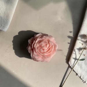 Pu&ograve; includere: Una candela rosa pallido a forma di fiore di peonia in fiore con petali complessi e stratificati. La candela ha una finitura opaca morbida e una forma arrotondata e compatta, che cattura la consistenza dettagliata di un fiore in piena fioritura.