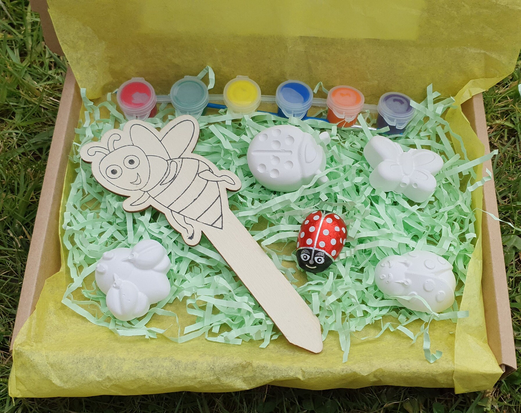 Mini Beast Paint Your Own Craft Kits. Ladybirds/butterfly/gift Ideas