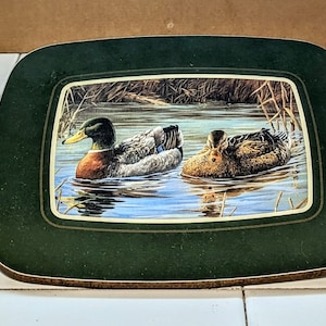 Wild Life  - collectible dinnerware set