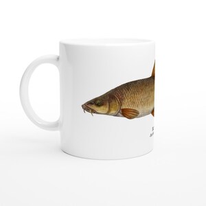 Fish Design Coffee Tea Mug Ideal Gift Idea for Anglers and Fishermen - Barbel