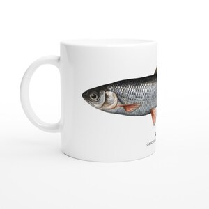 Fish Design Coffee Tea Mug Ideal Gift Idea for Anglers and Fishermen - Dace