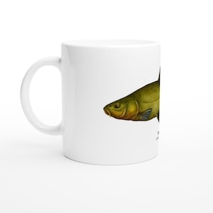 Fish Design Coffee Tea Mug Ideal Gift Idea for Anglers and Fishermen - Tench