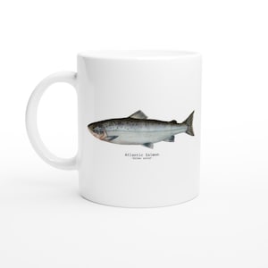 Fish Art Design Coffee Tea Mug Gift Idea for Anglers and Fishermen Natural History Design with Salmon Ideal Christmas gift