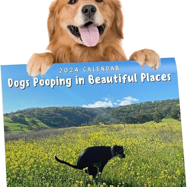 Dog Pooping In Beautiful Places Calendar 2025 Calendar Drona Dorolice