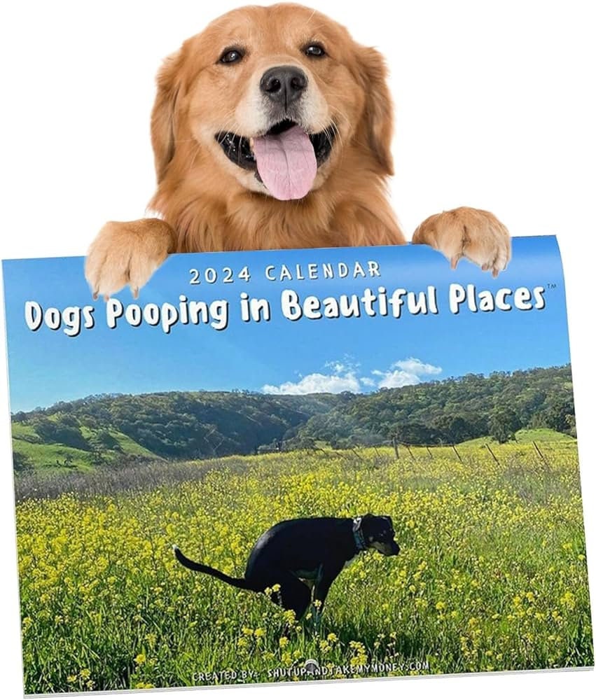 2024 Calendar With Pooping Dogs in Beautiful Places Etsy Australia