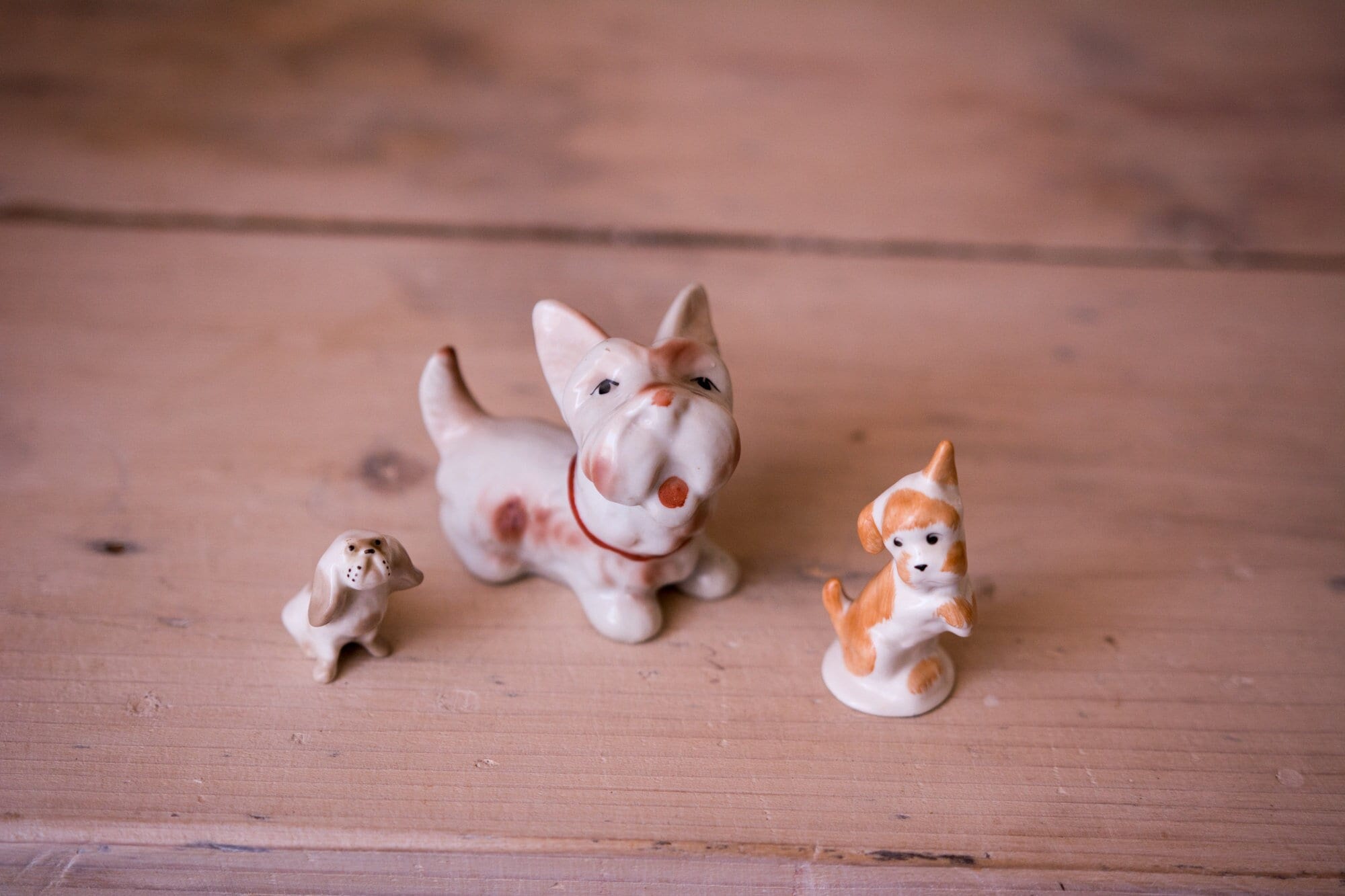 Collectible aquincum porcelain - Etsy 日本