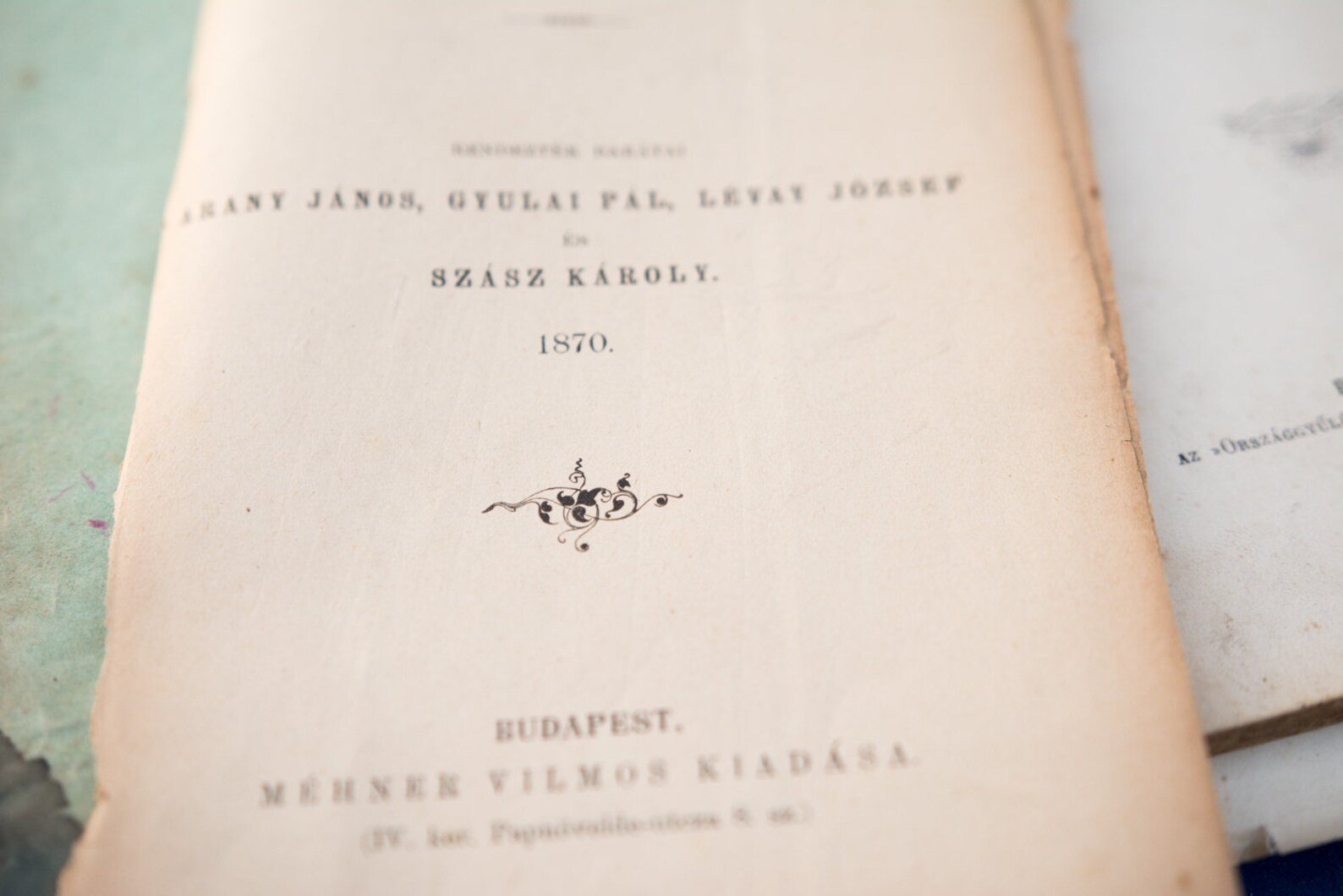 Hungarian family culture picture