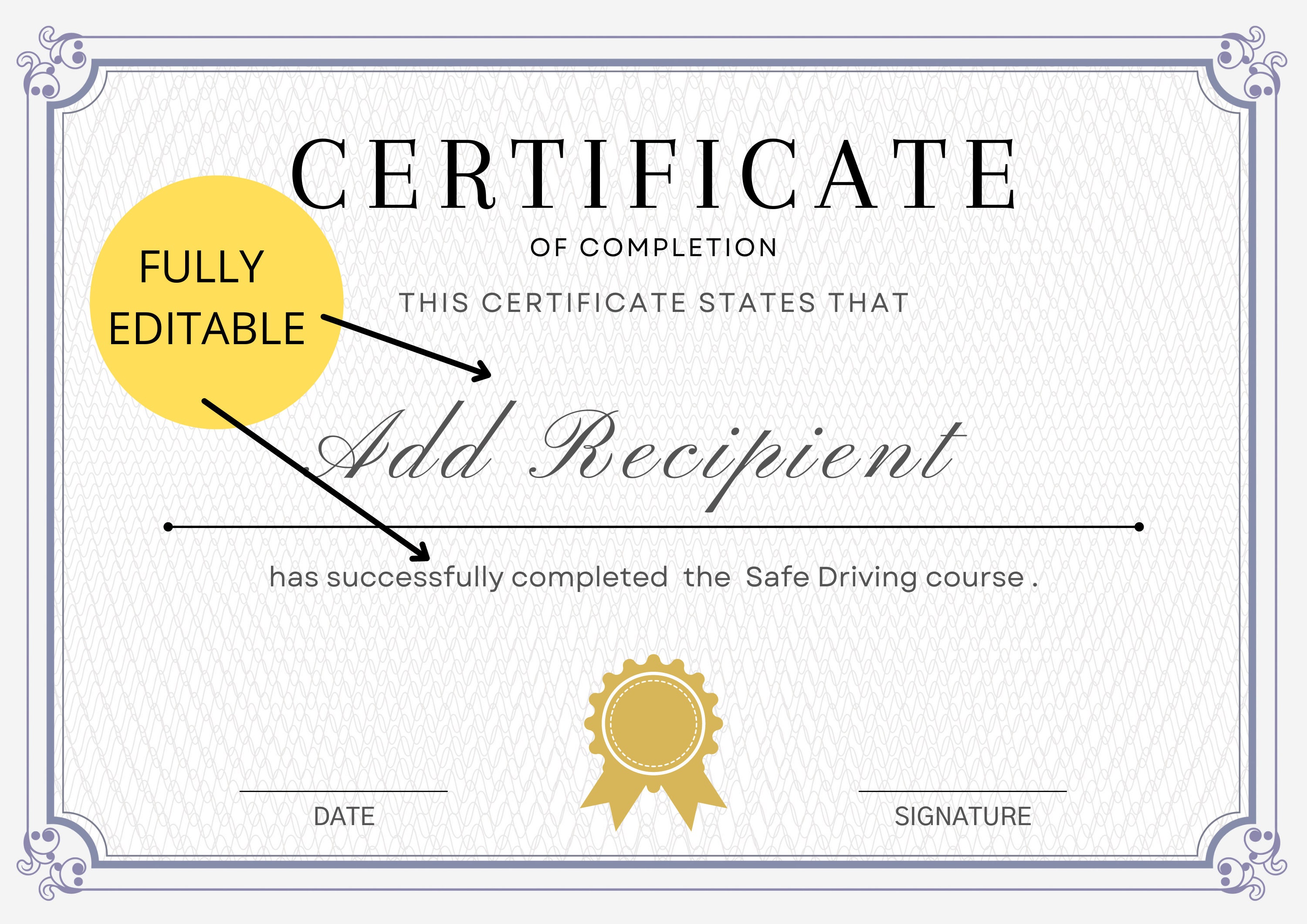 Editable Certificate of Completion, Training Certificate Template Editable Certificate of Completion, Training Certificate Template