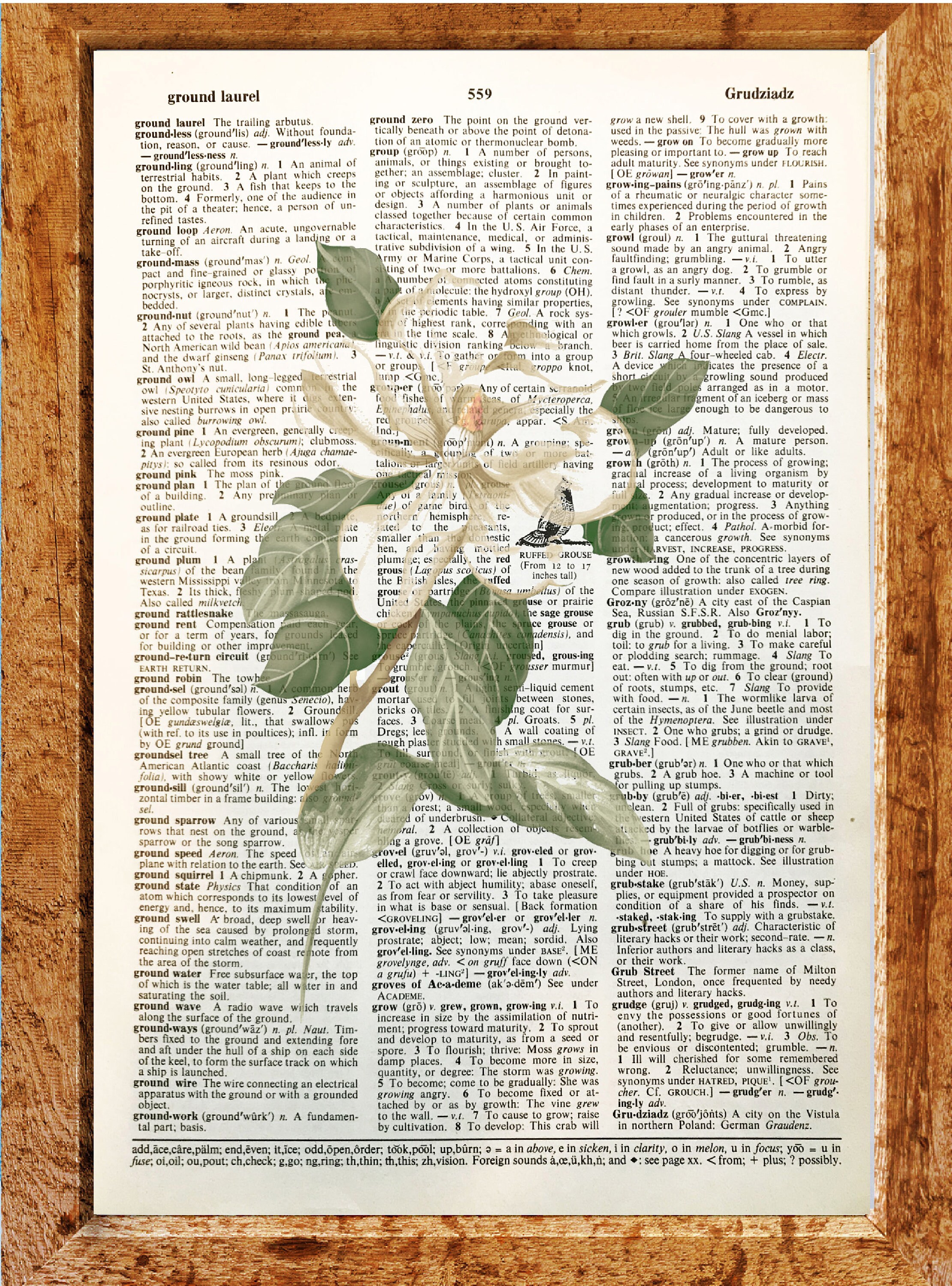 Eucalyptus Watercolour Artvintage Dictionary Artwall - Etsy Eucalyptus Watercolour Artvintage Dictionary Artwall - Etsy