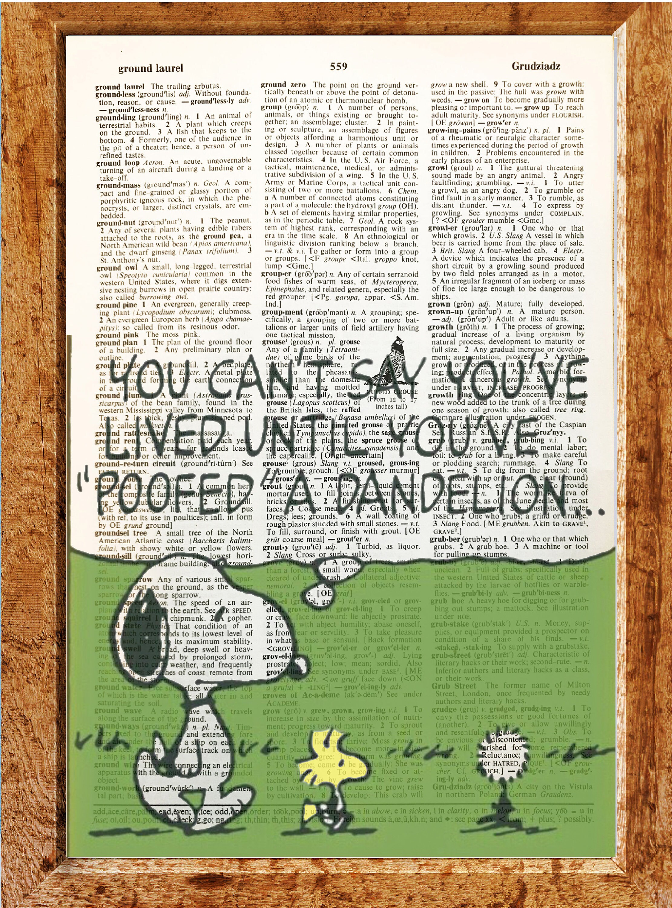 Charlie Brown and Snoopy cartoon Art Vintage Dictionary - Etsy Canada Charlie Brown and Snoopy cartoon Art Vintage Dictionary - Etsy Canada