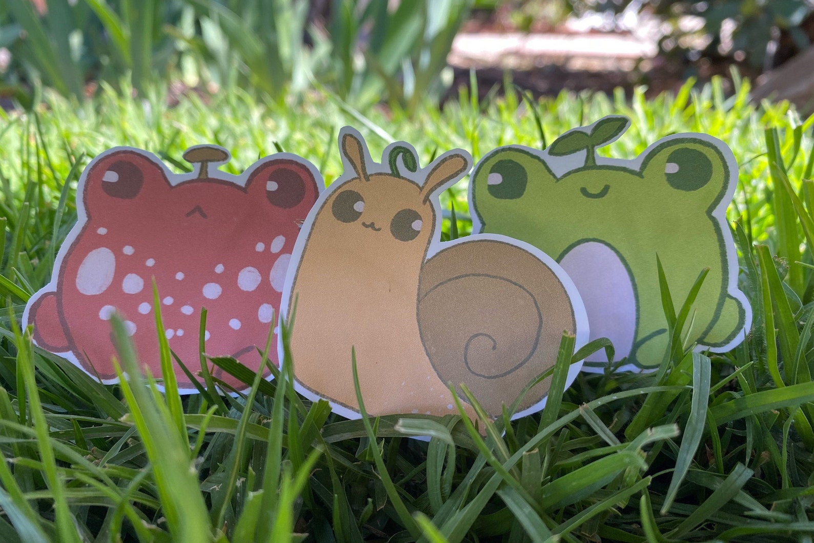 3 Stück Pack Garten Freunde Frösche und Schnecke Tad Mushy