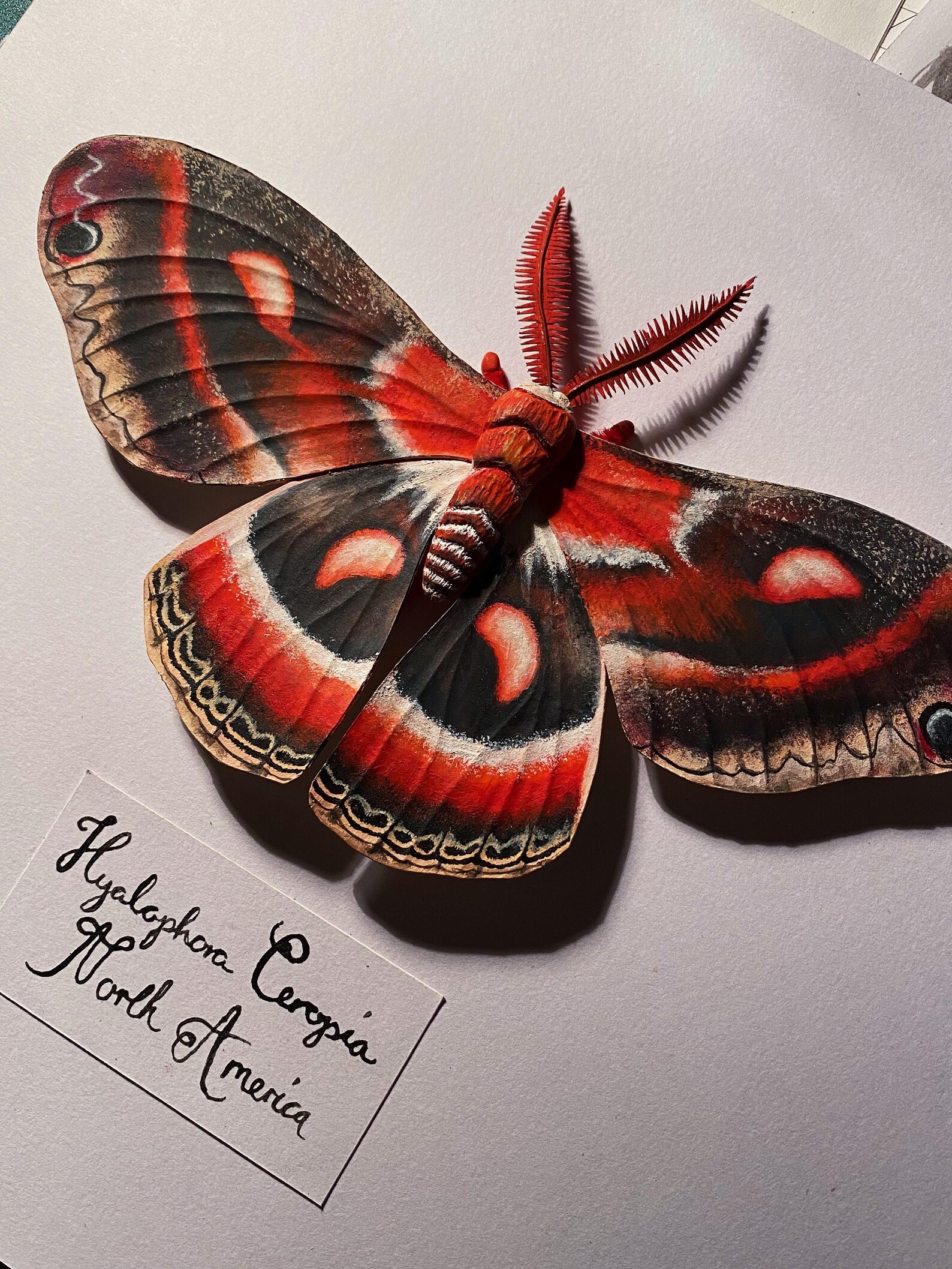 Taxidermist salary picture