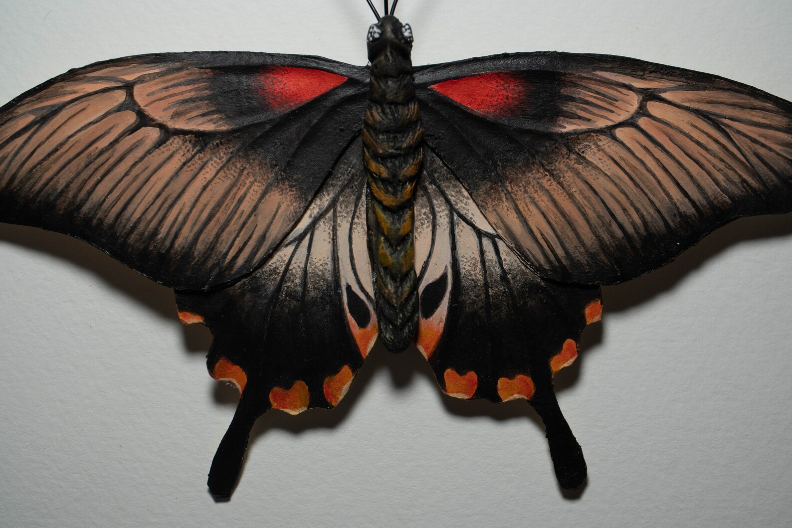 Handmade Framed Paper Taxidermy Butterfly Papilio Memnon Etsy UK
