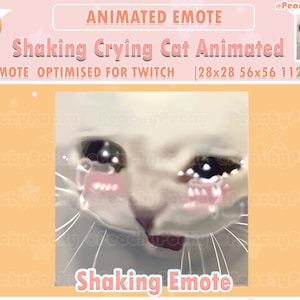 GEANIMEERDE Twitch Emote 1x Geanimeerde Cat Twitch Meme Emotes - Cat Shaking Crying Scream / Twitch / Streamer / Youtube / Discord/ Geanimeerde emote
