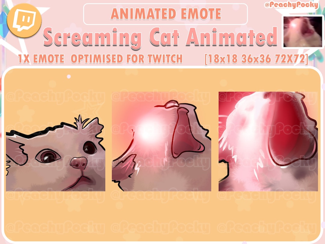 Funny Cat Faces Meme Emote Collection Twitch & Discord 