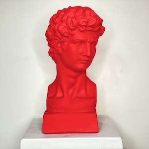 Pop Art Sculpture, David Bust, Modern Sculpture, Decorative bust, Michelangelo David Statues, Nordic Sculpture, Handmade Gift, Greek Statue