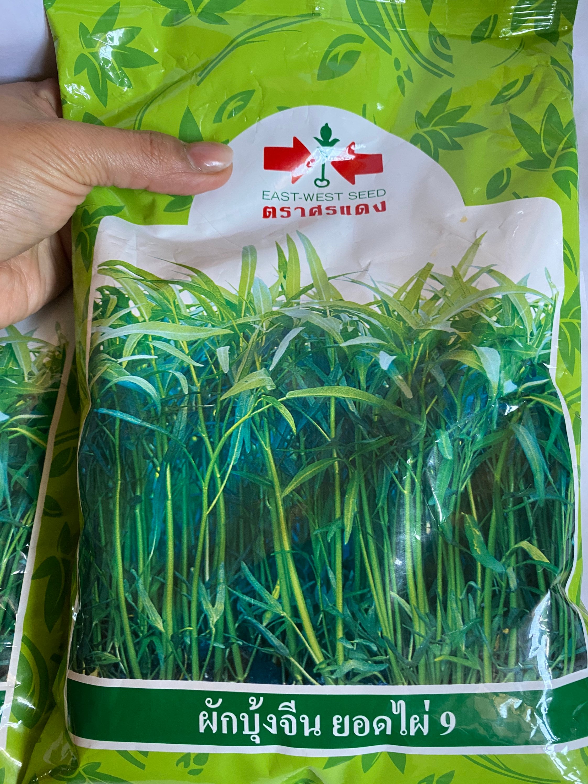 Thai Water spinach | Etsy