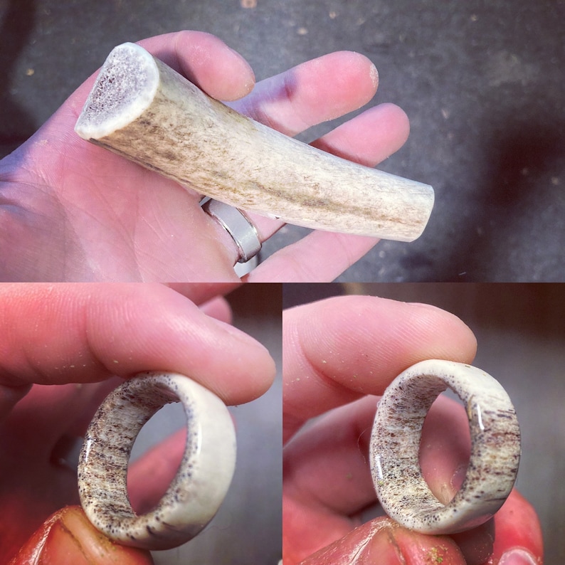 Elk Antler Ring Etsy