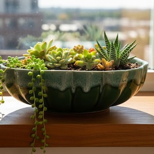 May include: A green ceramic planter filled with a variety of succulents. The planter is on a wooden windowsill, with a window and cityscape in the background. The succulents include a trailing string of pearls.