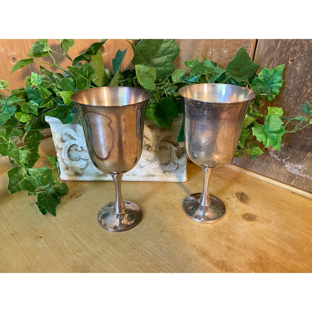 Vintage Silver Plated Goblets Set of 2 Salem Silver Plate Academia Wine