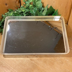 May include: A rectangular mirror with a clear plastic frame. The mirror is set against a wooden background and is decorated with green foliage. The mirror is a simple, yet elegant decorative piece.