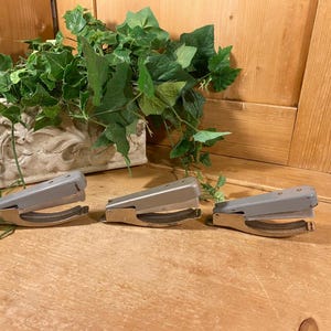 May include: Three gray and silver staplers are arranged on a wooden surface. The staplers have a classic design with a silver base and a gray top. A decorative planter with green foliage is in the background.
