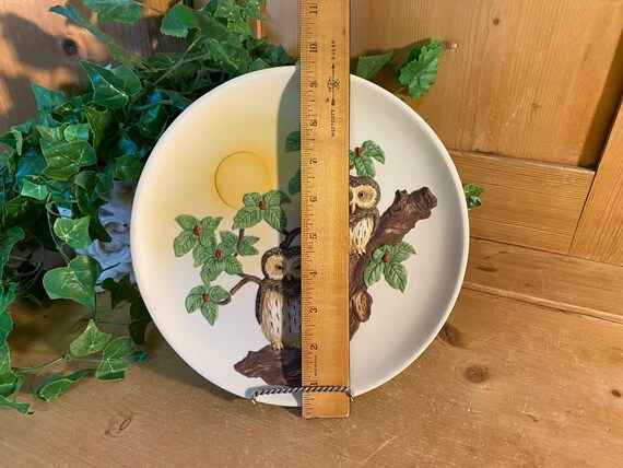 Vintage Birds of the World 1st Ed. Collector's Plate | Owls | 8048