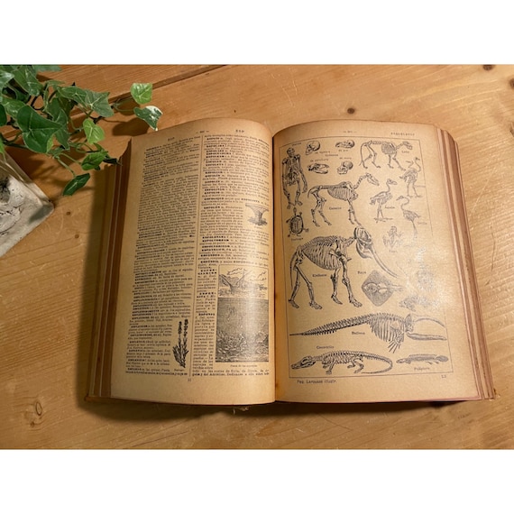 Pequeno Di Enciclopédico Koogan Larousse Pequeno Larousse Ilustrado, Nuevo Diccionario Enciclopedico