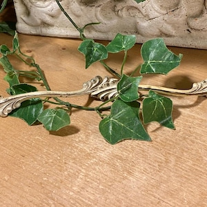 May include: An antique-style, off-white metal drawer pull with ornate detailing, resting on a wooden surface. Green ivy with visible veins and leaves is draped over the pull, adding a natural contrast to the design.