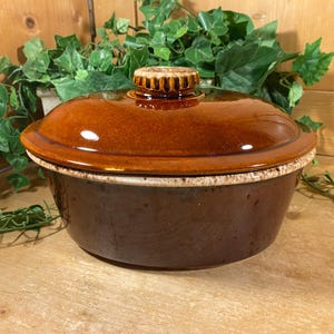 May include: A brown ceramic casserole dish with a matching lid. The dish has a round shape with a slightly textured surface and a decorative rim. The lid features a small, textured handle. The dish is set against a wooden background with green foliage.