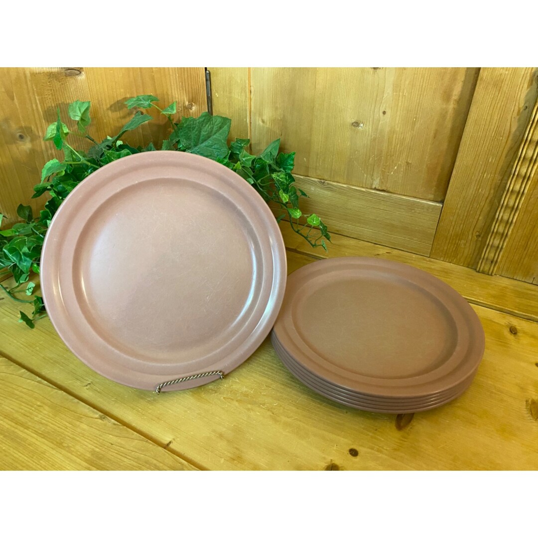 Vintage Harmony House Melamine Plates Set of 6 Melmac Dusty Rose today